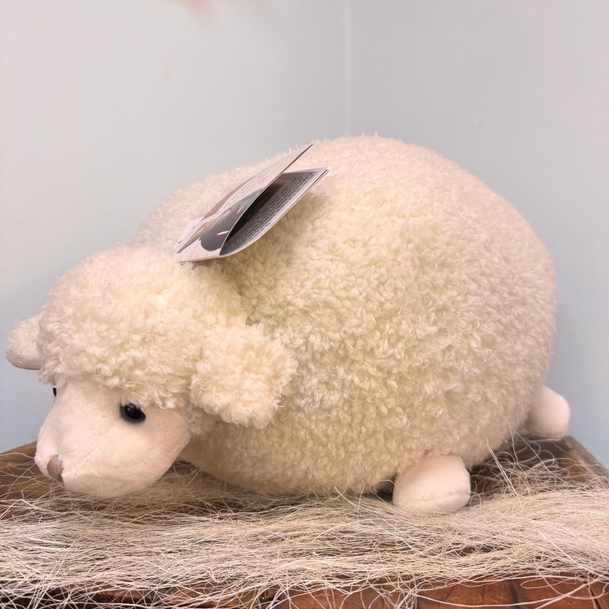 Owca BUKOWSKI Sweet Lefty & Black Sheep (biała) -25 cm - Bukowski zdjęcie 3