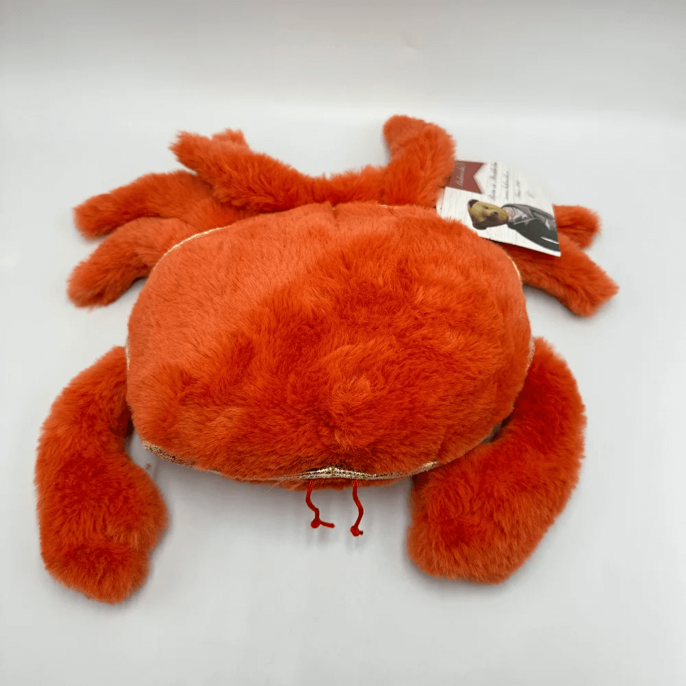 Krab BUKOWSKI Copper pomarańczowy - 25 cm - Bukowski zdjęcie 2