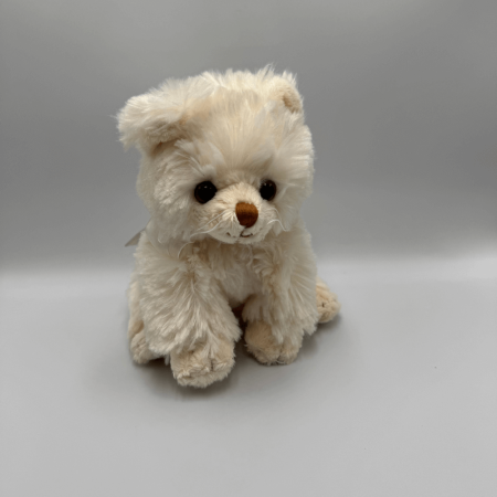 Kotek BUKOWSKI Gucio - 25 cm