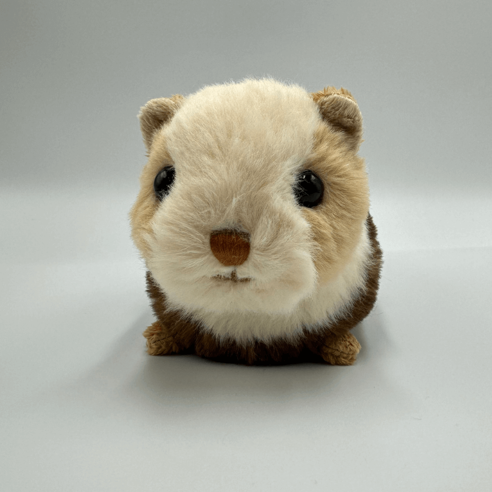 Świnka morska BUKOWSKI Piggy - 15 cm - Bukowski zdjęcie 1