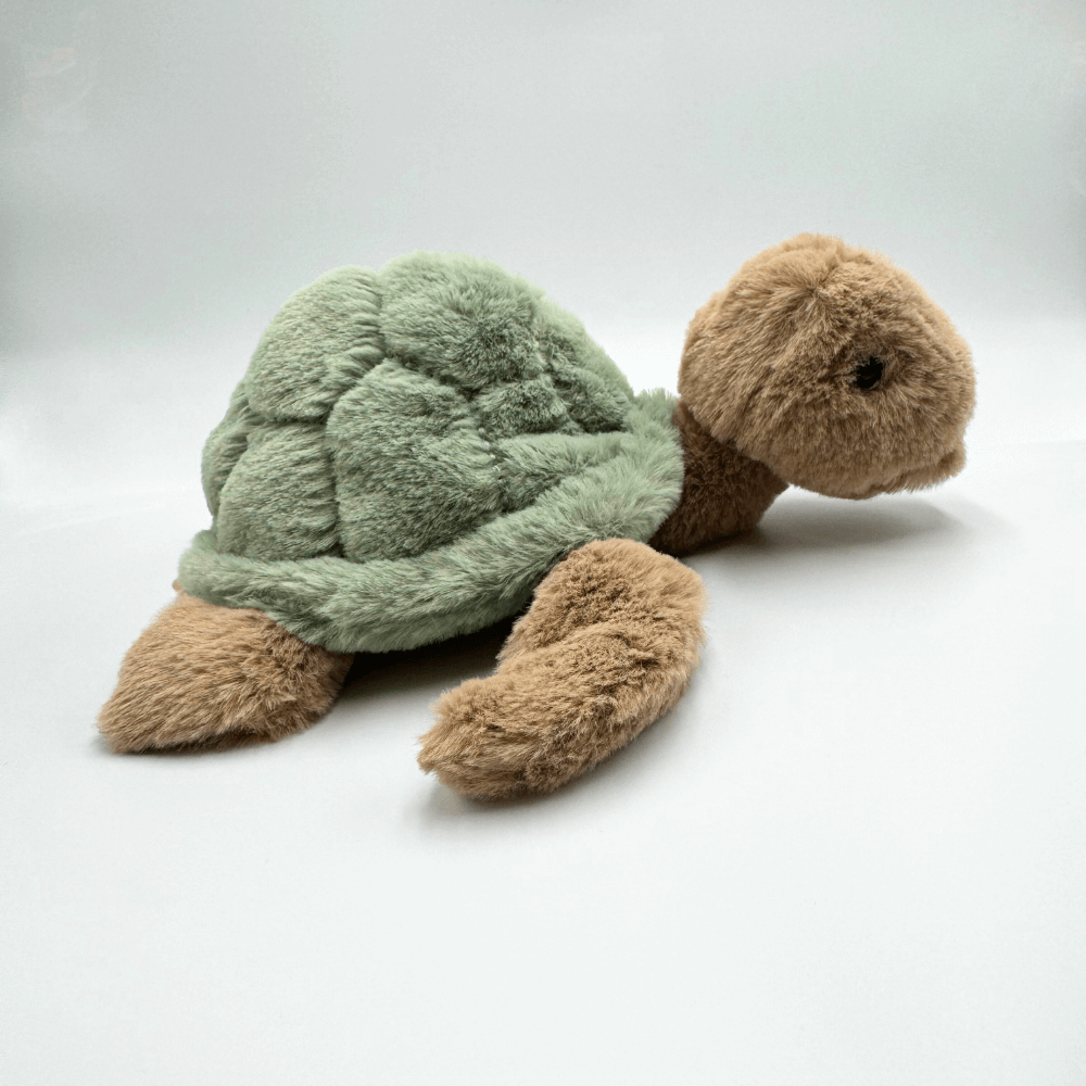 Żółw BUKOWSKI Sandy - 25 cm - Bukowski zdjęcie 1