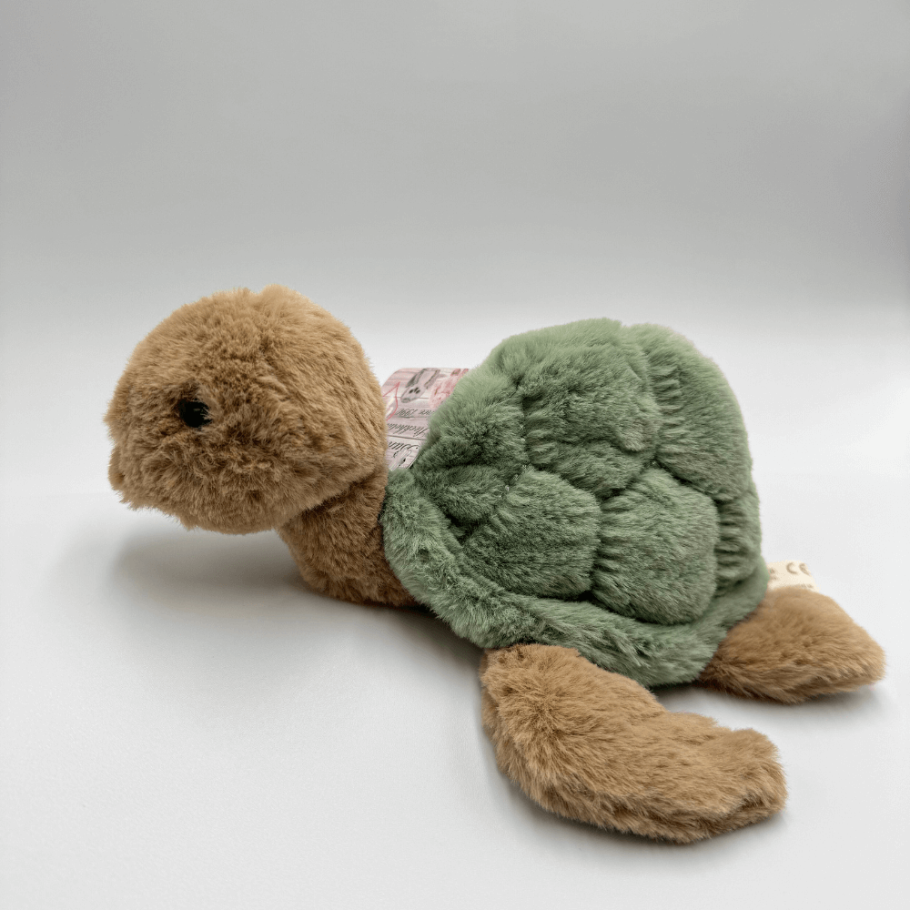 Żółw BUKOWSKI Sandy - 25 cm - Bukowski zdjęcie 2