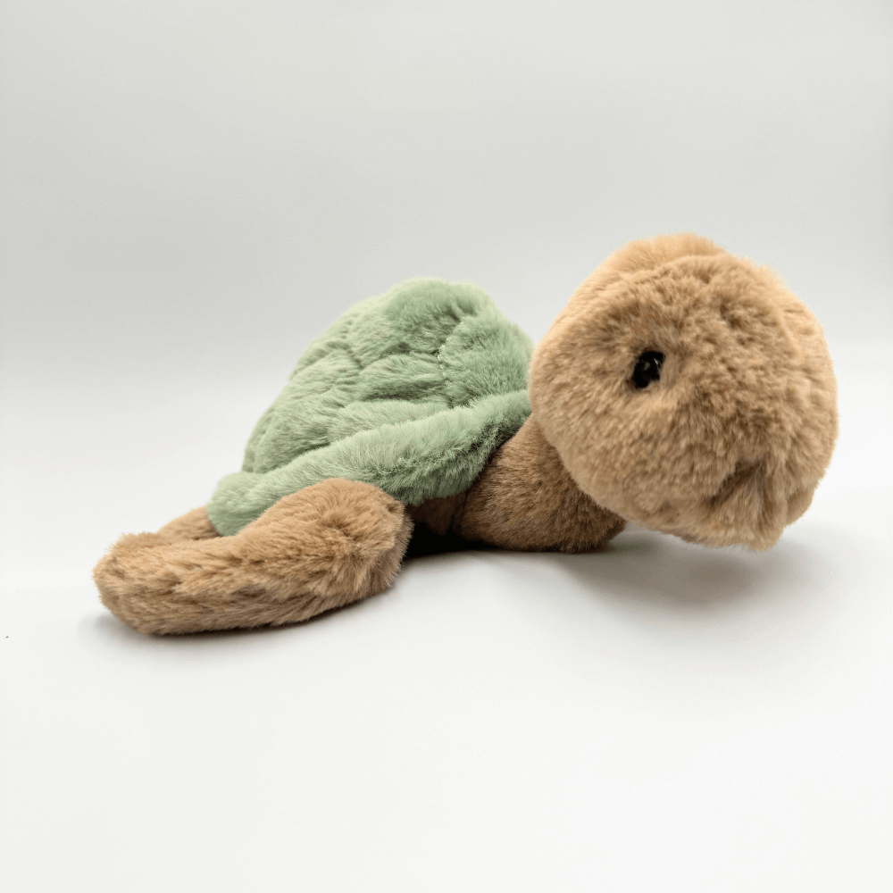 Żółw BUKOWSKI Sandy - 25 cm - Bukowski zdjęcie 3
